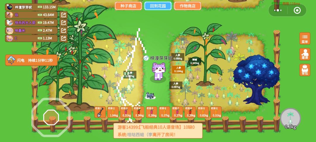 人参果 1