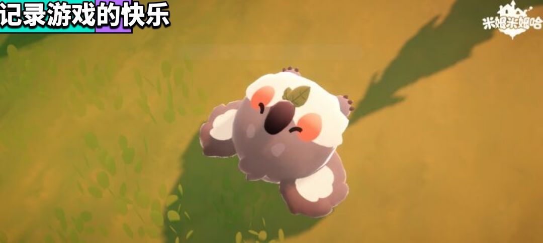 睡袋熊太可爱啦随地大小睡 1