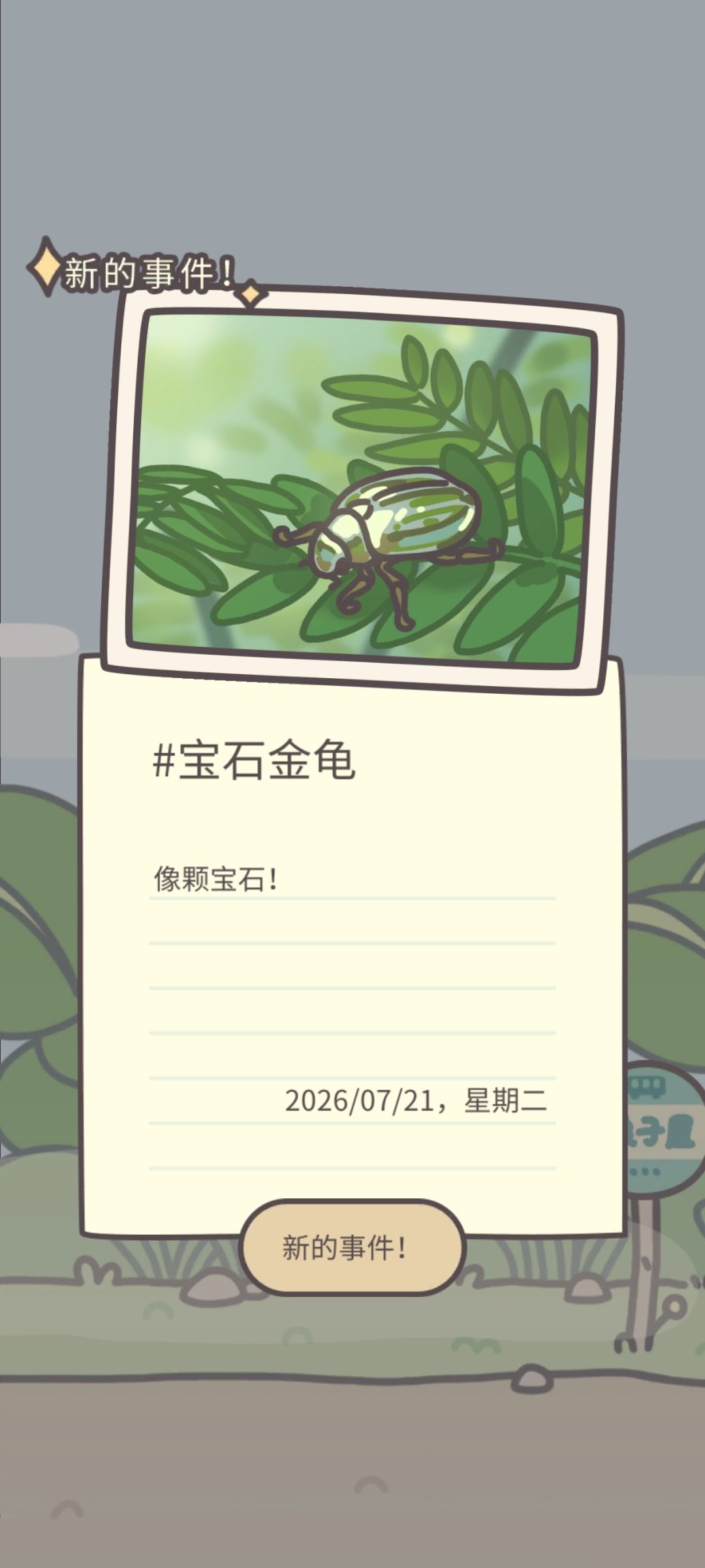 新昆虫-宝石金龟 2