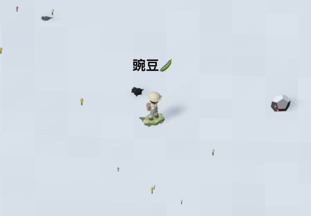 记录/去你的岛/目前拥有的滑板外观 4