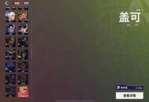 瓦手新英雄盖可全套焚决