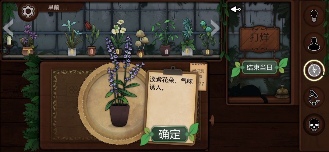 记录一些个人比较喜欢或觉得有意思的植物 15