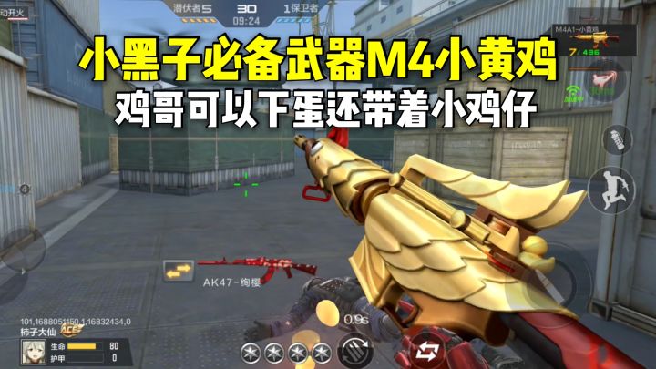 小黑子必备武器M4小黄鸡,鸡哥可以下蛋还带着小鸡仔截图
