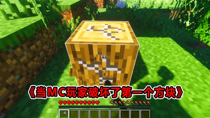 ”当MC玩家学会了破坏和放置方块“截图