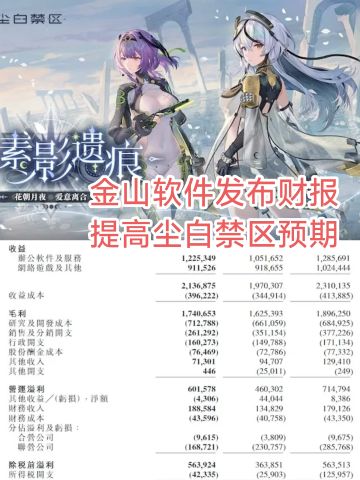 金山公布Q1财报，问答环节变尘白禁区专场