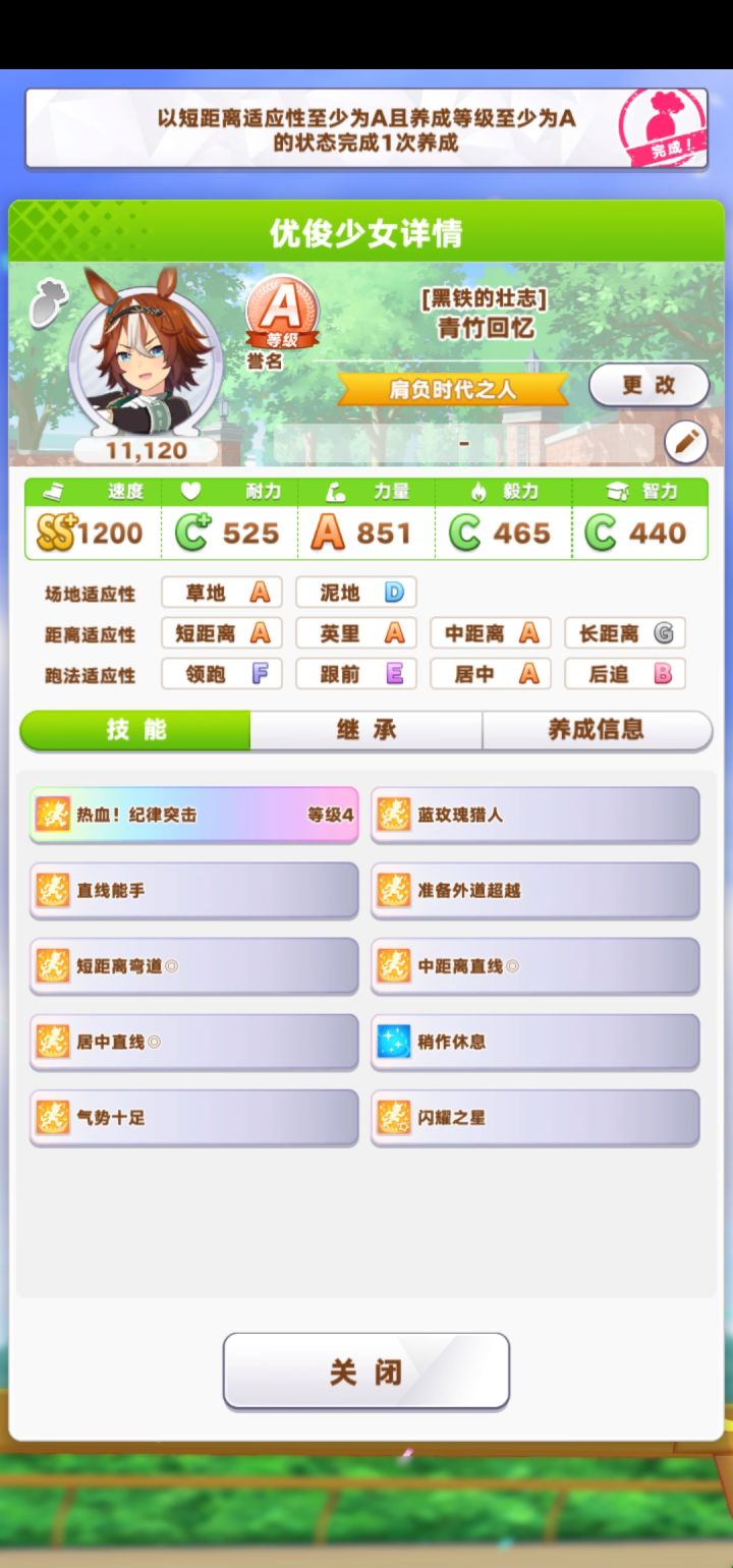 纯萌新看攻略配马配出问题了。截图