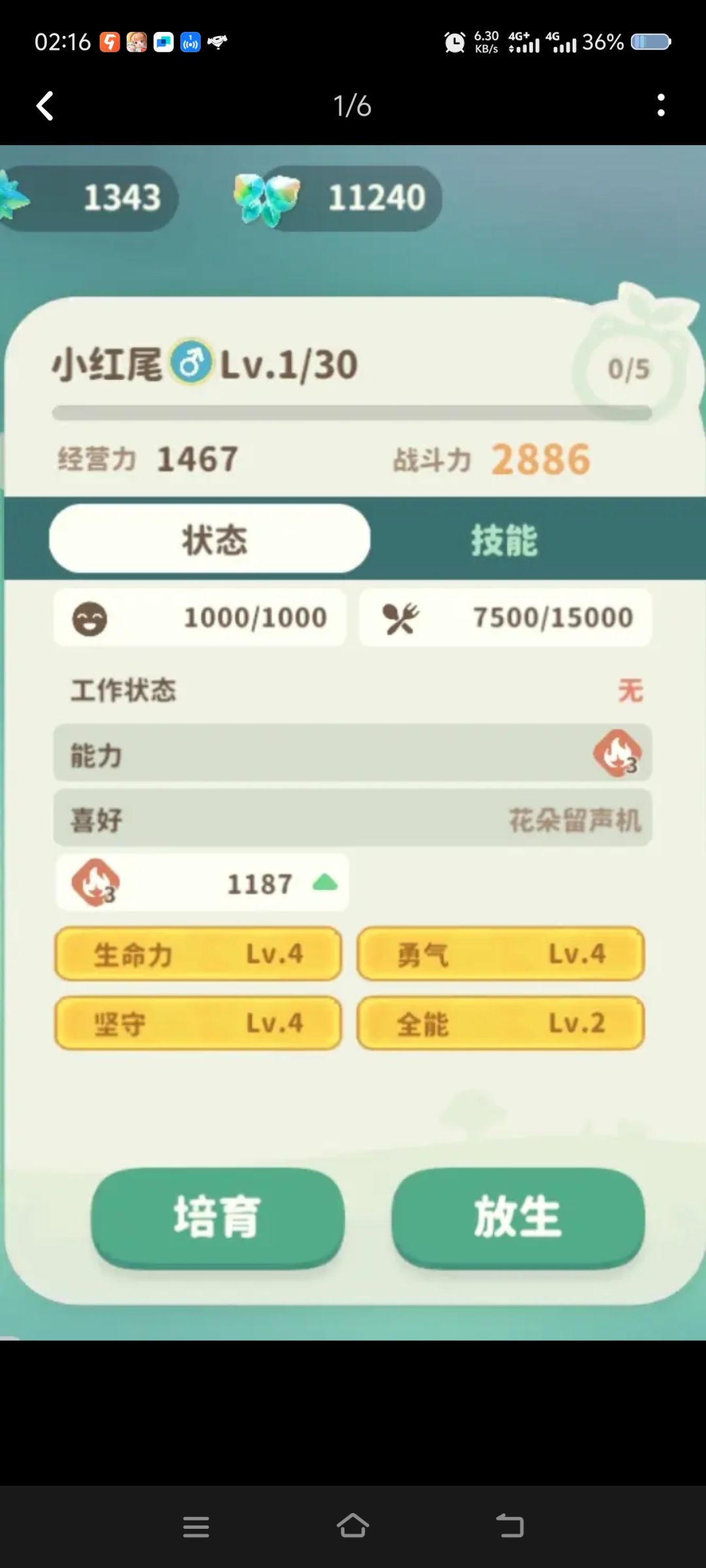 定制头像框 1