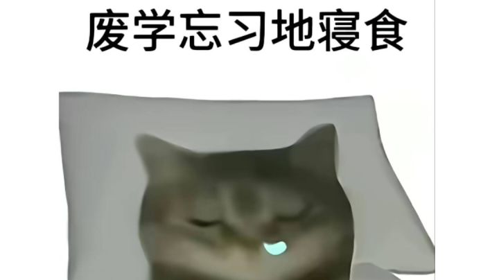 欢迎&反馈帖截图