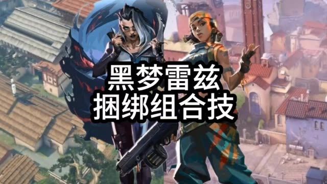 先看后学，雷兹黑梦组合技截图