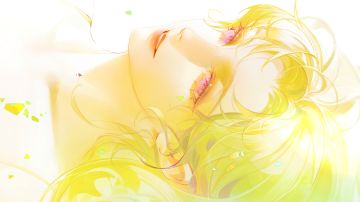 萌新入坑建议（体系队）