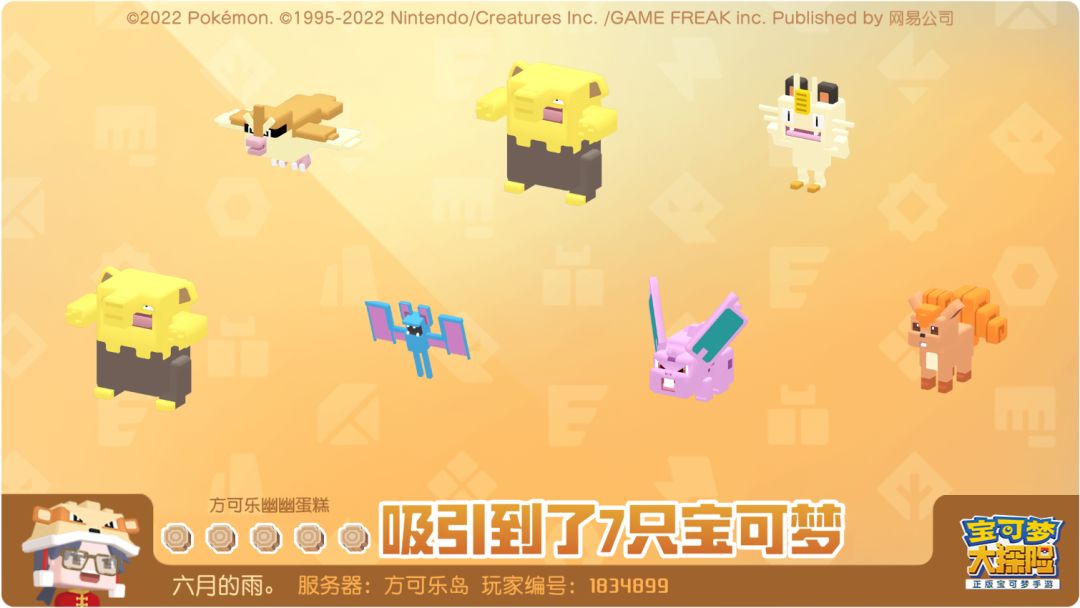 来来来 看看你们家的金锅 1