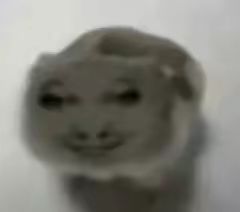 虽然是一测截图