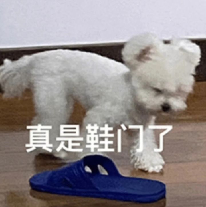 鸿运好啊鸿运截图