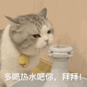 什么情况哟,一段时间没来,视频都审核不过截图