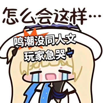 鸣潮没同人文 玩家急哭