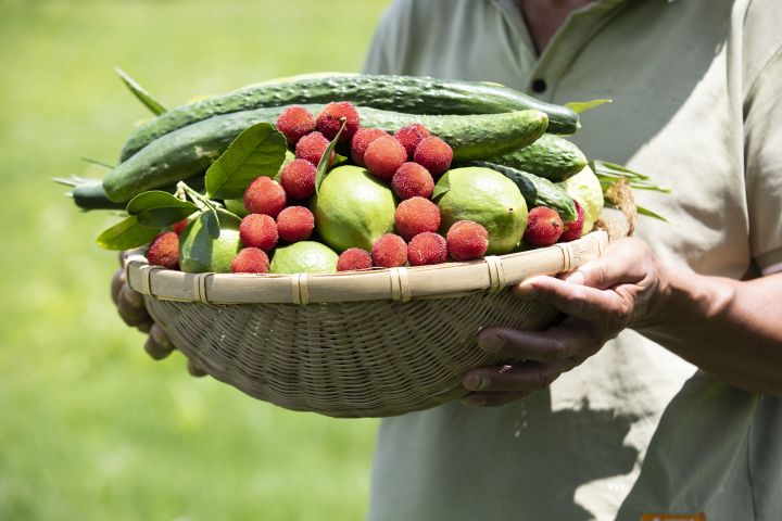 这城有良田真的有块田!看完想回村吃瓜🍉截图