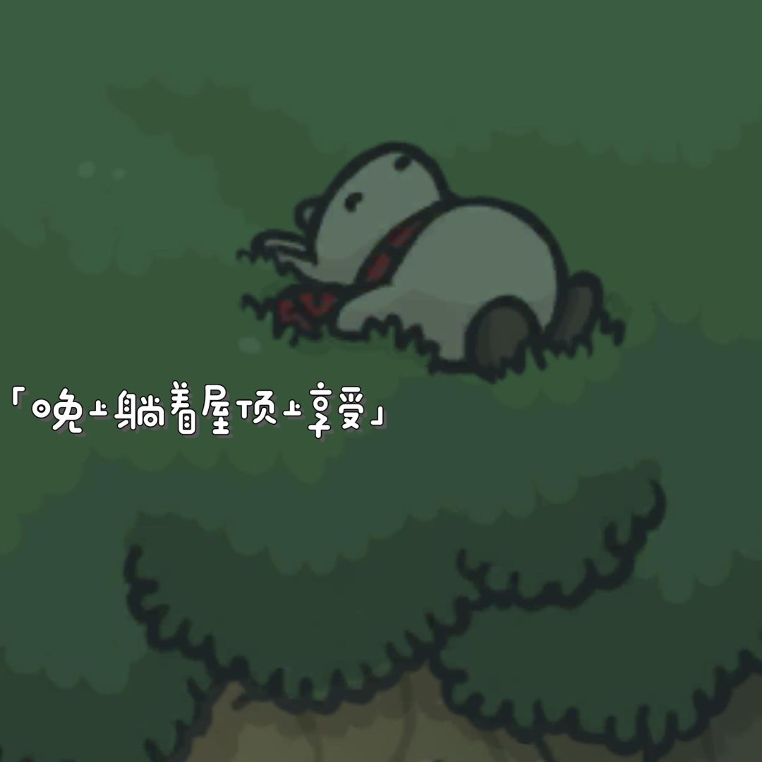 动态图片 8