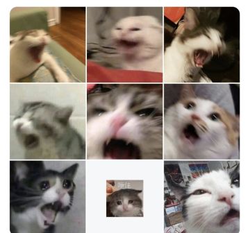 关于近期服务器卡顿问题的说明