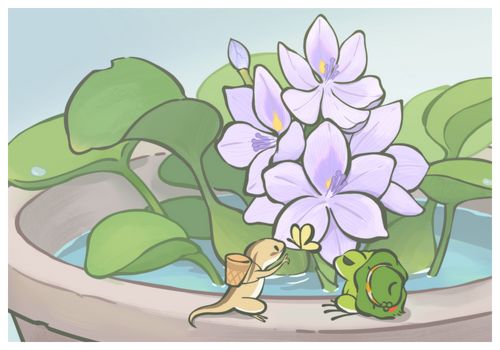 动态图片 2