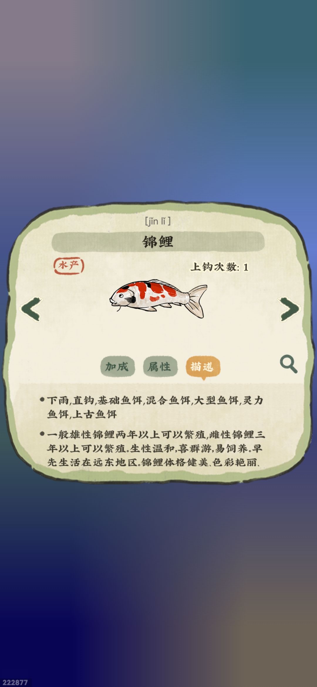 锦鲤终于了! 1