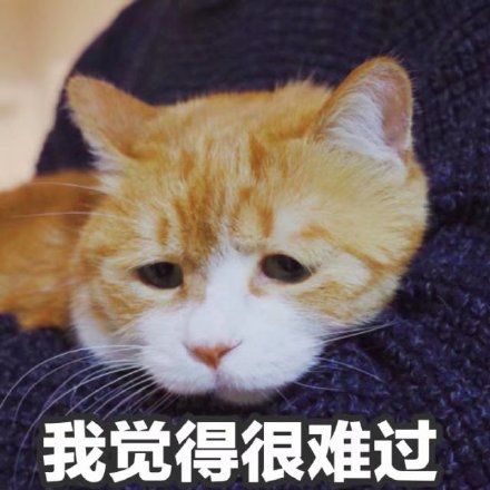 悲伤那么大截图