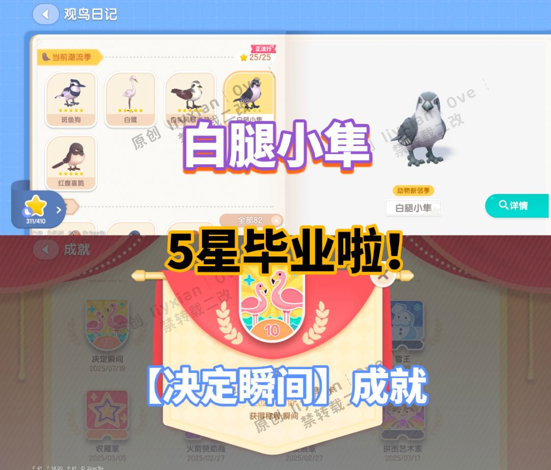 【心动小镇】动物新邻季鸟类毕业!附攻略 1