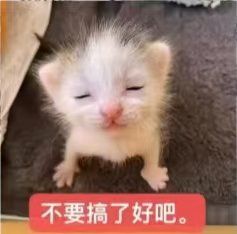 第一次打翻车了 2