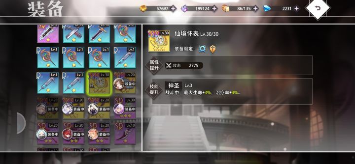 这到底是个啥装备截图