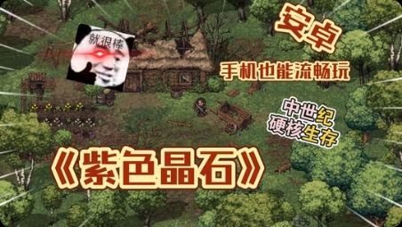 《紫色晶石》手机版 1