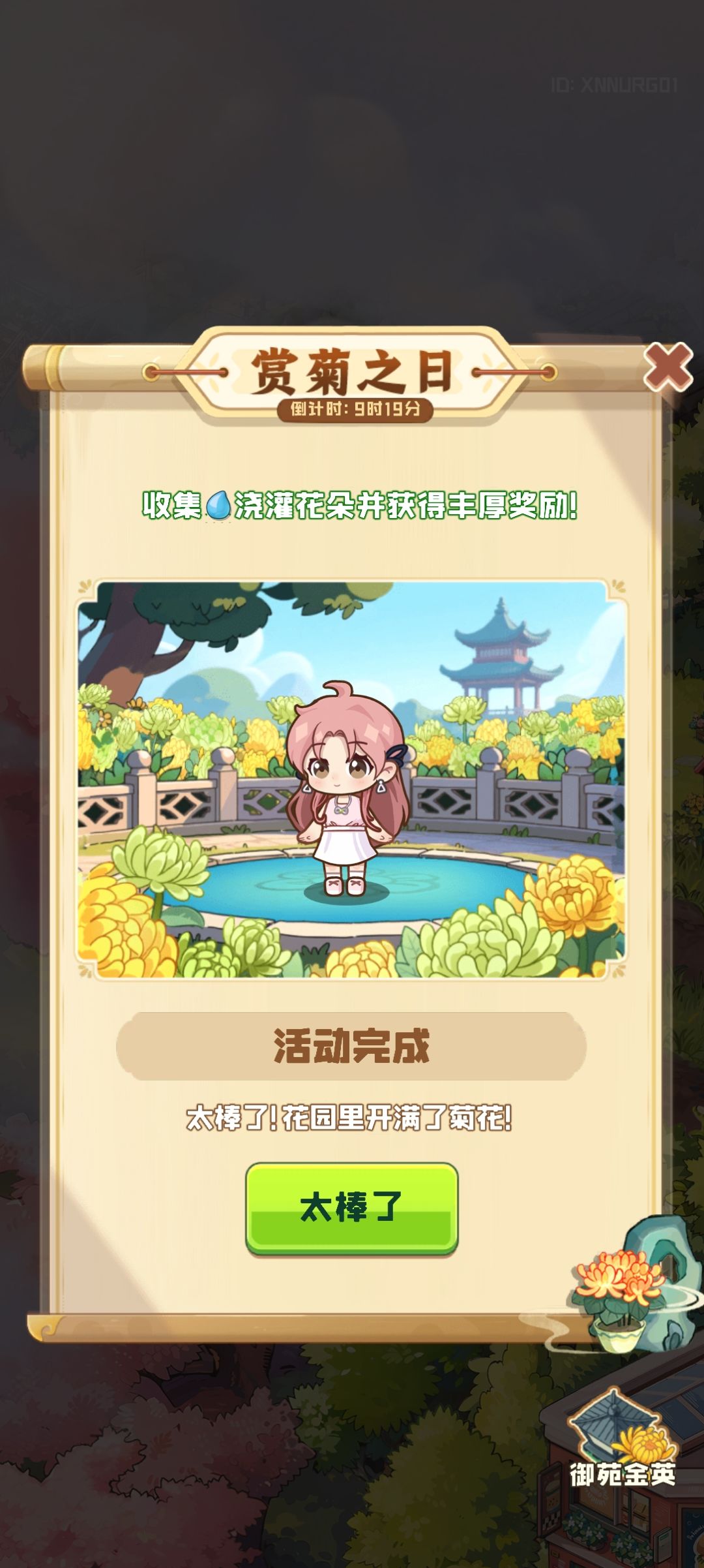 四季合合赏菊活动 1