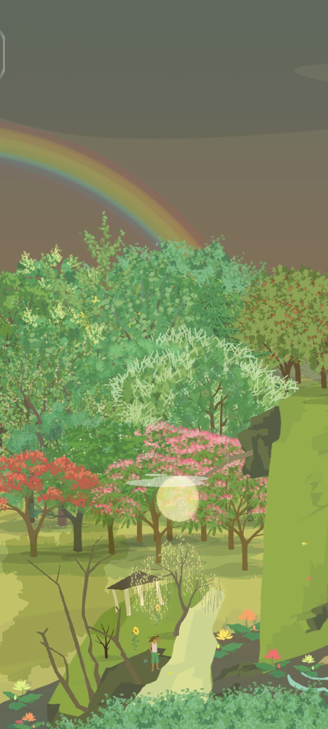 看见彩虹🌈啦 1