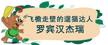罗宾汉杰瑞动作展示丨聪明机智又快讯如风，他就是飞檐走壁的遛猫达人！