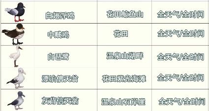 寻鲸季限定鸟、限定鱼总汇截图