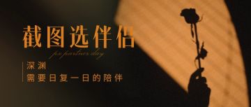 破晓整活|深渊恒久远，截图选partner！