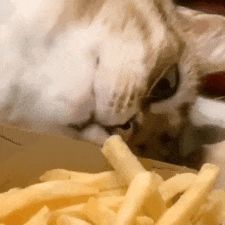 🍔奖励已发【疯狂星期四】🍔今天星期四，送皮肤啦！！！