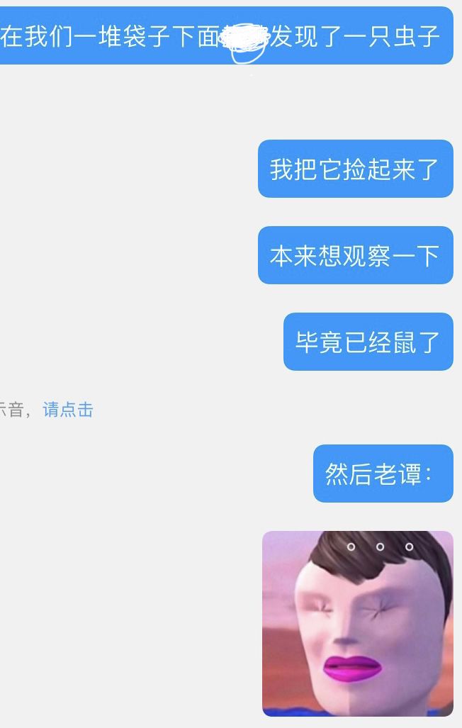 在数学课空余时间观察虫子(已经趋势),老师的反应🙂截图