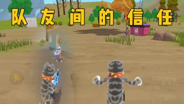 队友间的信任be like