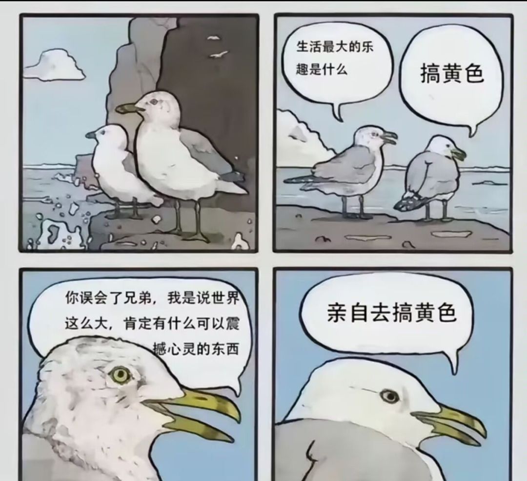 我来玩玩试试 1