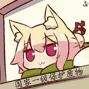 好像都没看到重装培养的攻略啊 1