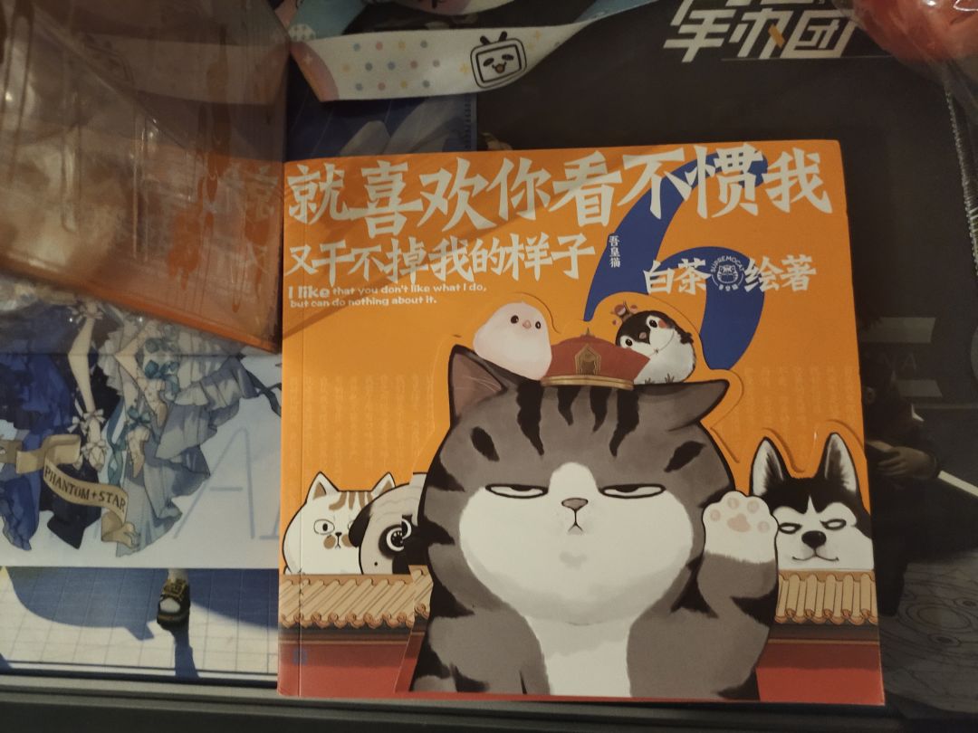 动态图片 1