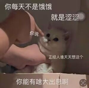 火炬新赛季?11元魔兽无限,12月流放2截图
