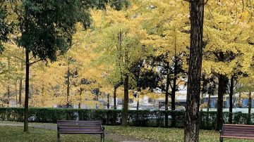 阿机的老农碎碎念