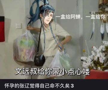 怀孕的张辽以为自己命不久矣3