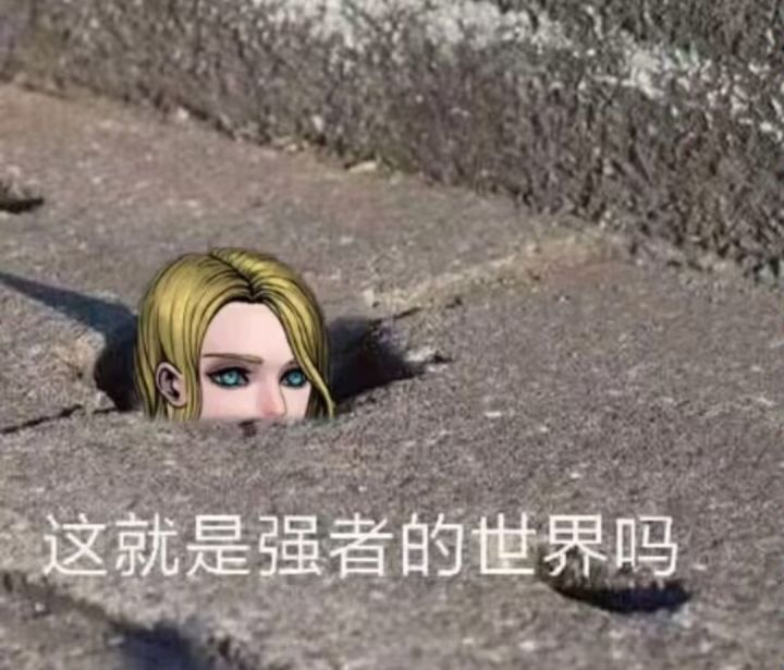 这就是强者的世界吗截图