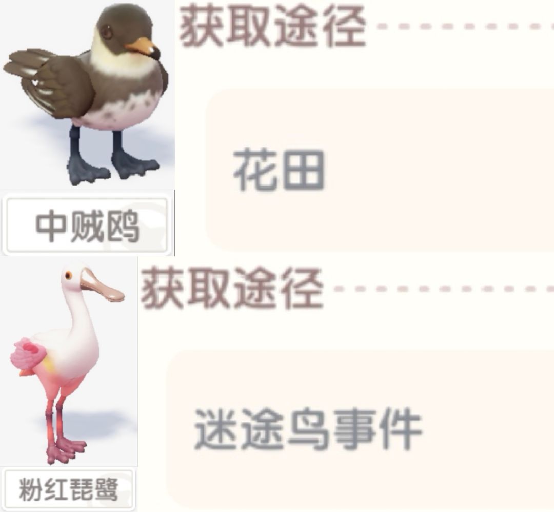 【心动小镇寻鲸季限定鸟类图鉴】 4
