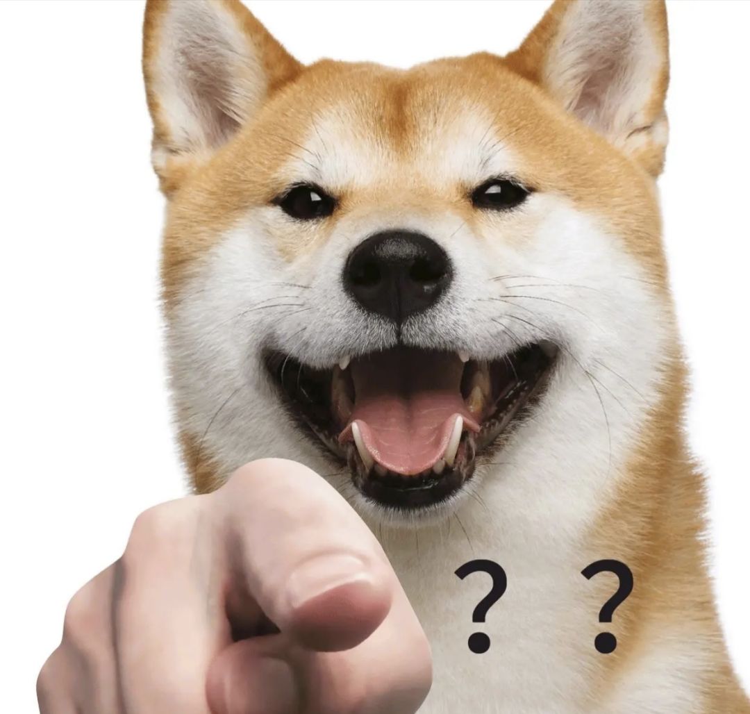 提问 2