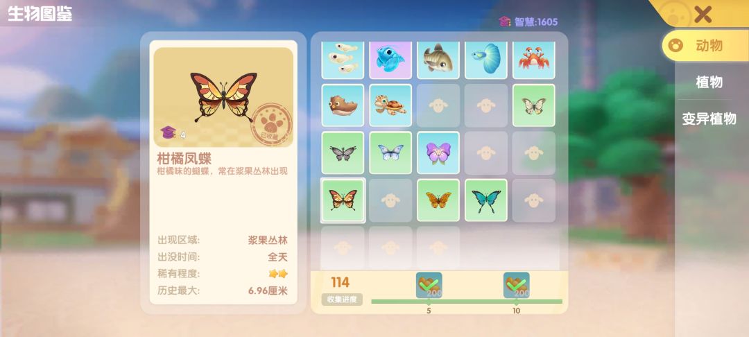 动态图片 5