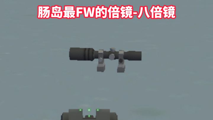 肠岛最FW的倍镜-八倍镜截图