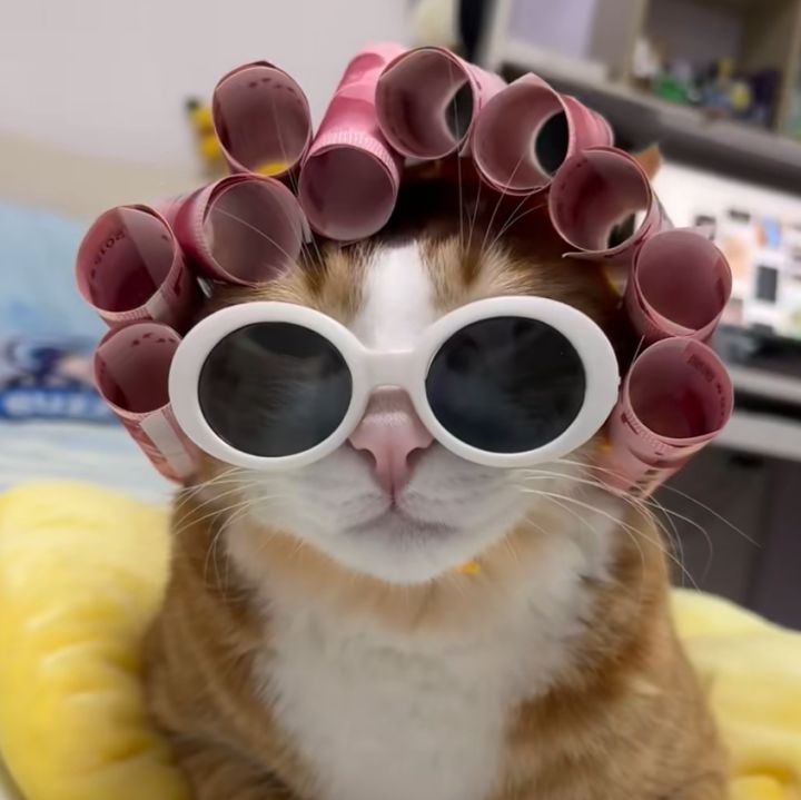 编钟求解截图