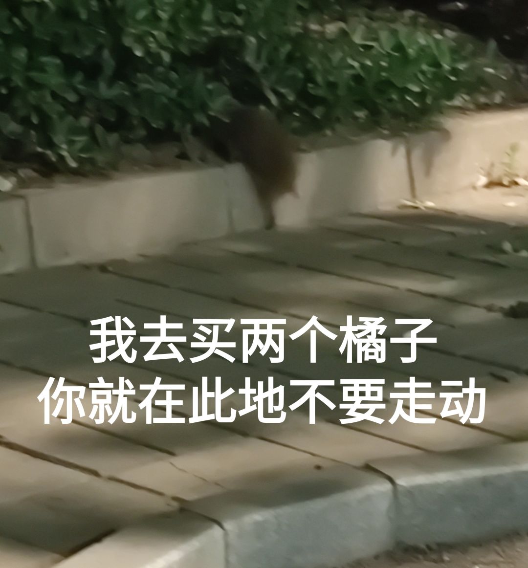 话说巨人指环减速的bug修了没 1
